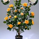 Интерьер-Холл "АртSSофе" раскрасит лето яркими красками!