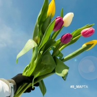 Весна наступила, и мы поздравляем всех прекрасных жительниц Западного Луча с 8 марта.