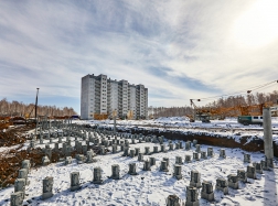 Дом №58 (стр.)