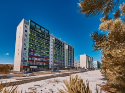 Изумрудная, д 1 (60 стр.)